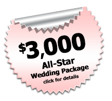 All Star Wedding DJ Package